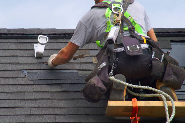 Best Roof Gutter Cleaning  in Shamrock, TX