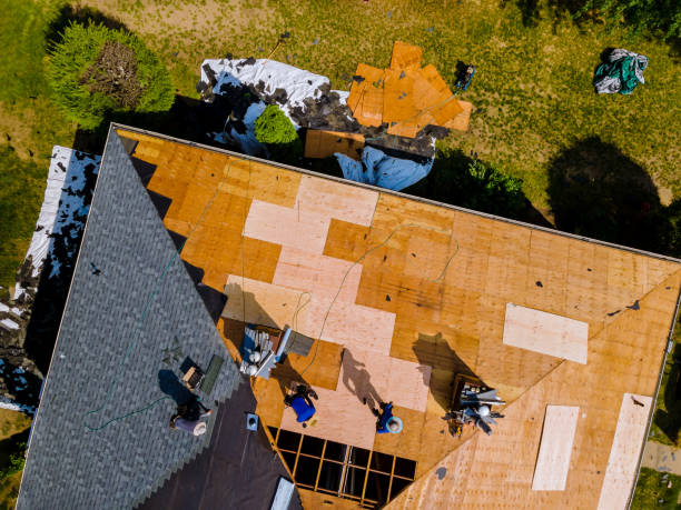 Best Storm Damage Roof Repair  in Shamrock, TX