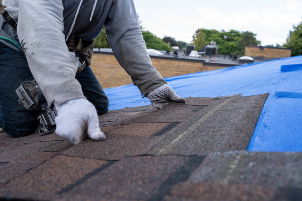 Best Gutter Installation and Roofing  in Shamrock, TX