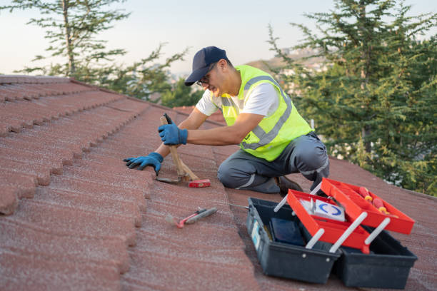 Best Metal Roofing Contractor  in Shamrock, TX